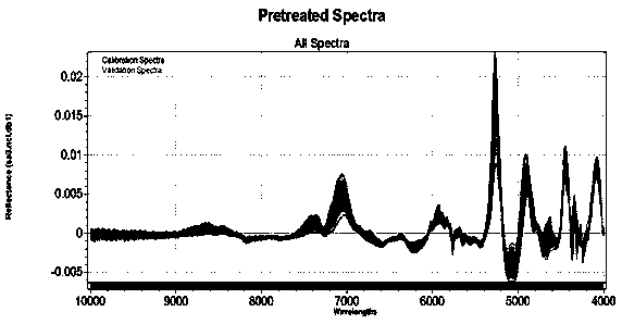 Method for measuring crude protein content in Phalaris arundinacea by using near infrared spectrum