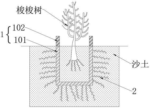 Psammophyte planting method based on land desertification control