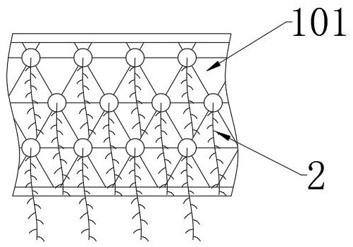 Psammophyte planting method based on land desertification control