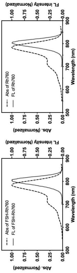 A tumor imaging and therapy probe targeting follicle-stimulating hormone receptor and its preparation method and application