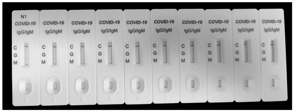 2019-nCoV nucleic acid isothermal amplification detection kit based on SYBR Green I and detection method