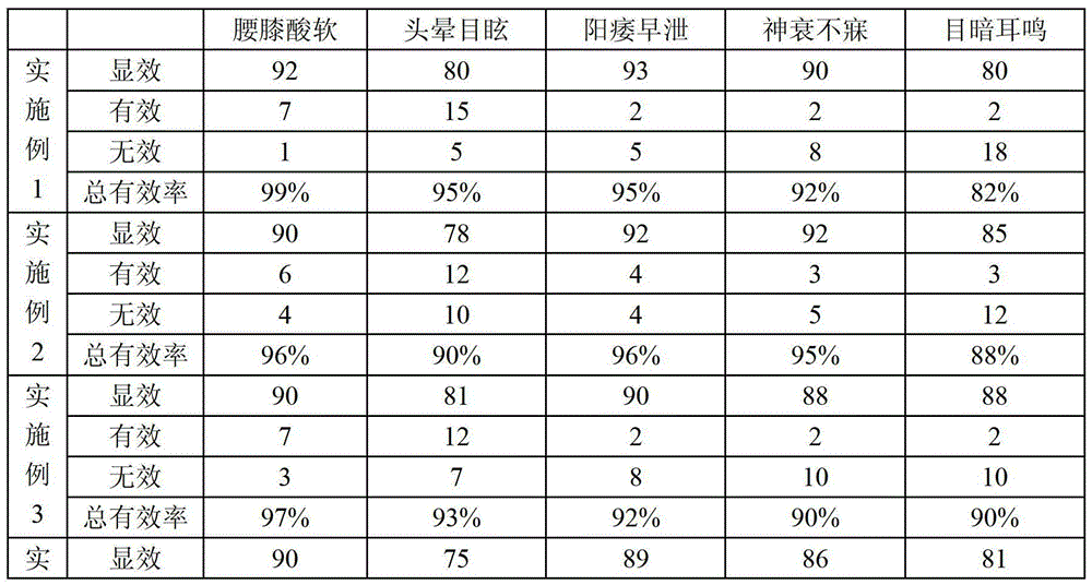 Anti-aging Chinese medicine preparation and preparation method thereof