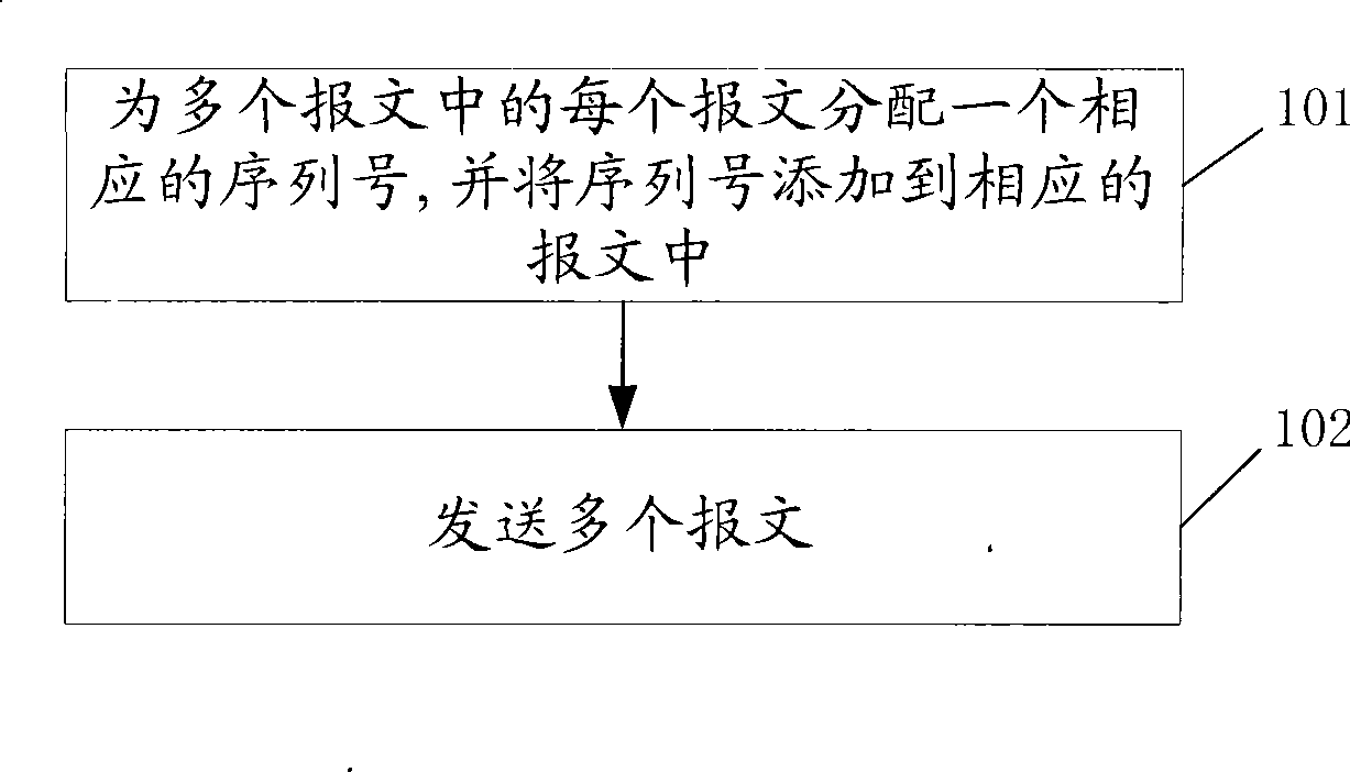 Method, terminal port and system for packet transmission