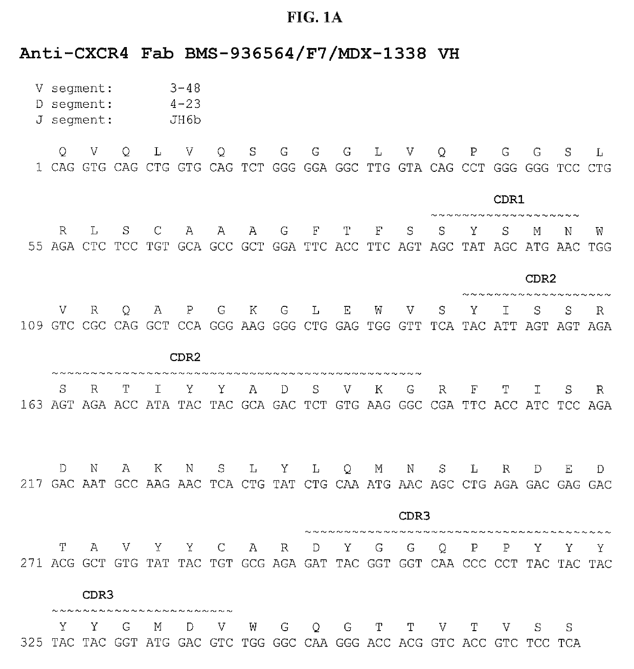 Treatment of hematologic malignancies with an anti-CXCR4 antibody