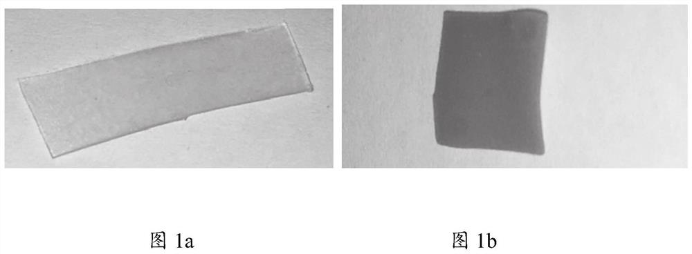 Surface grafted curcumin modified degradable polyurethane composite material as well as preparation method and application thereof