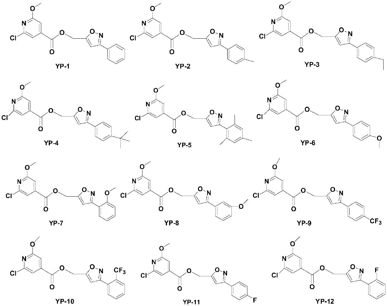 Isonicotinic acid derivative as well as preparation method and use thereof