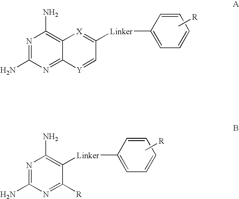 DHFR enzyme inhibitors