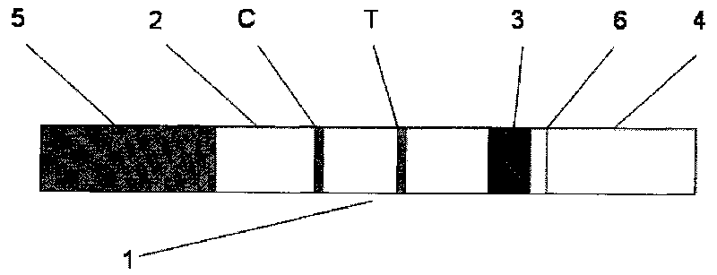 Magnetic immunochromatographic strip for detection of hepatitis B surface antigen and preparation method thereof