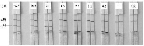 A paper-based detection method for exosomes