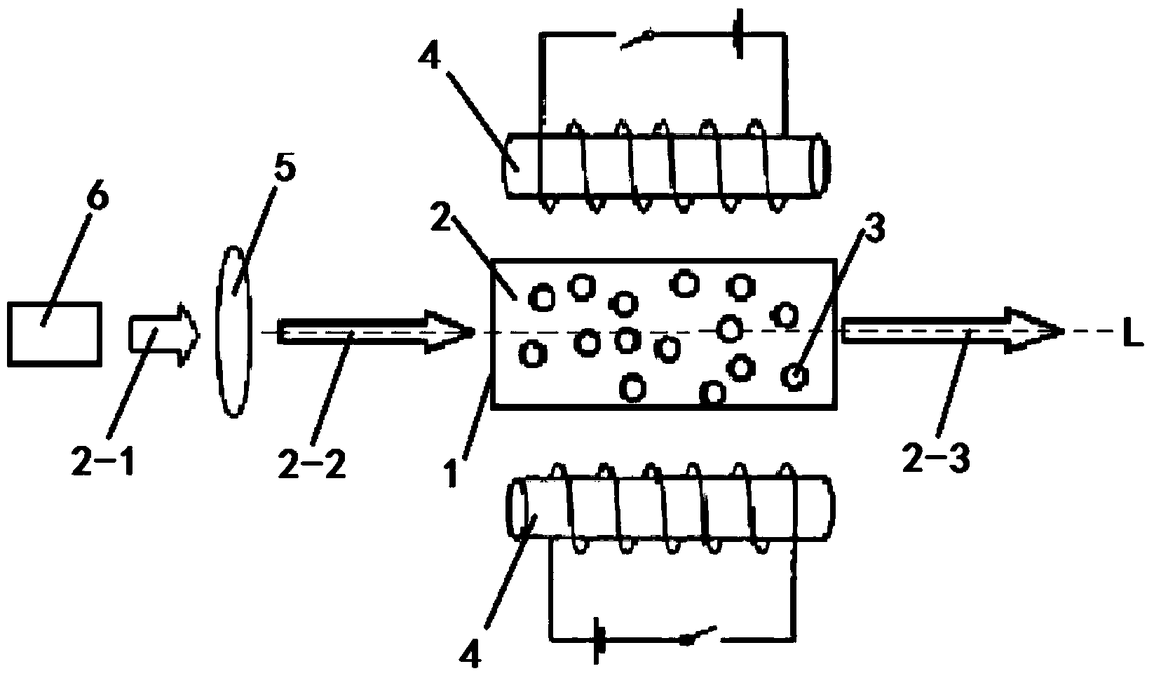 Random laser which is used for liquid mixed with magnetic nanoparticles and is provided with controllable switch