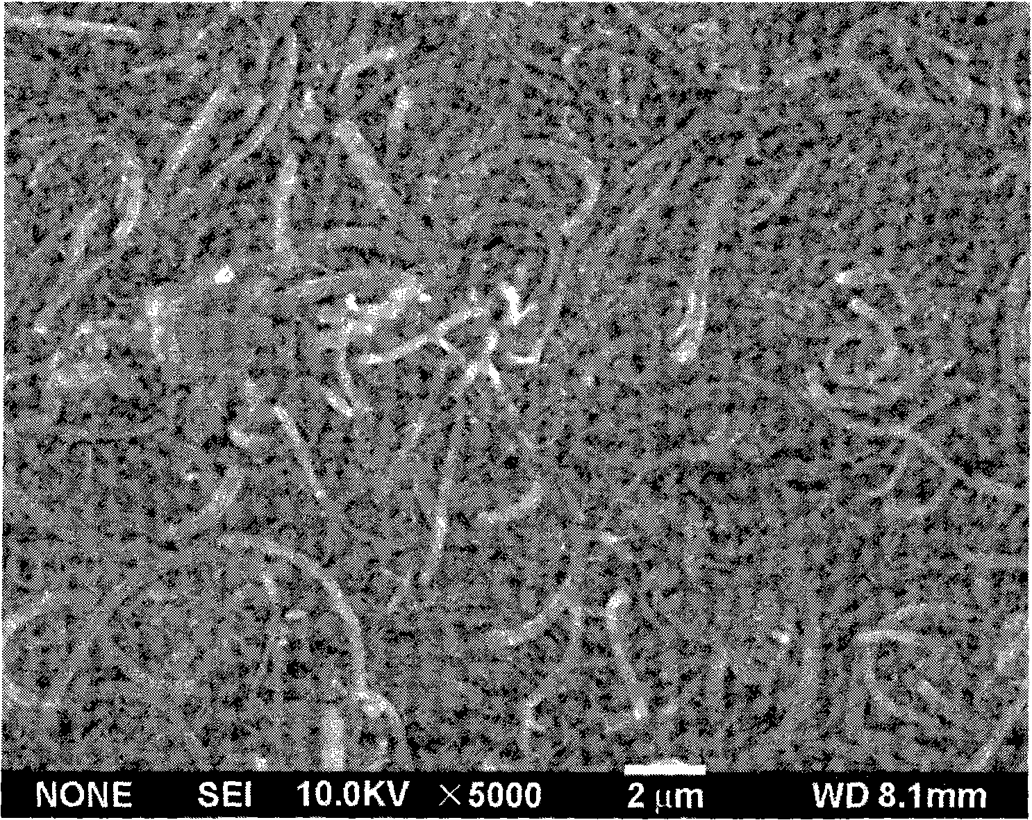 Method for preparing blocky carbon nano ¬ fibers composite