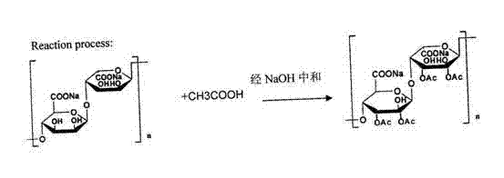 Drug for treating and preventing fracture