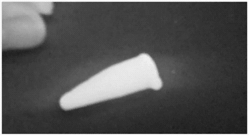 A thermocoagulable polysaccharide, its fermentation strain and application