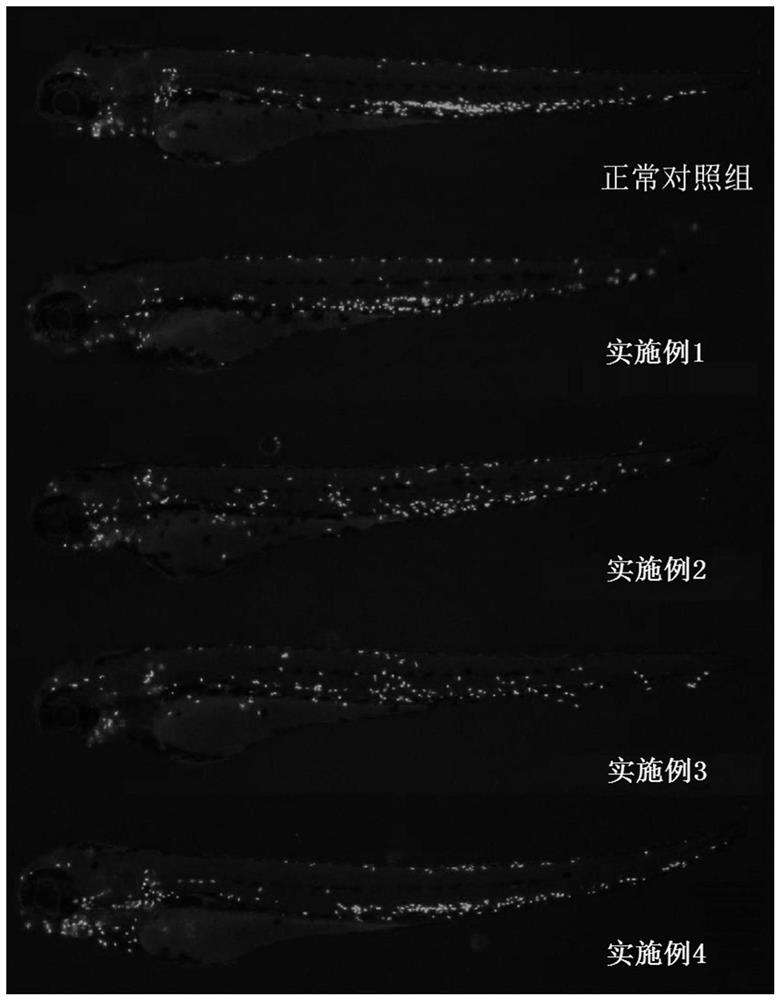 Method for evaluating skin irritation of cosmetics