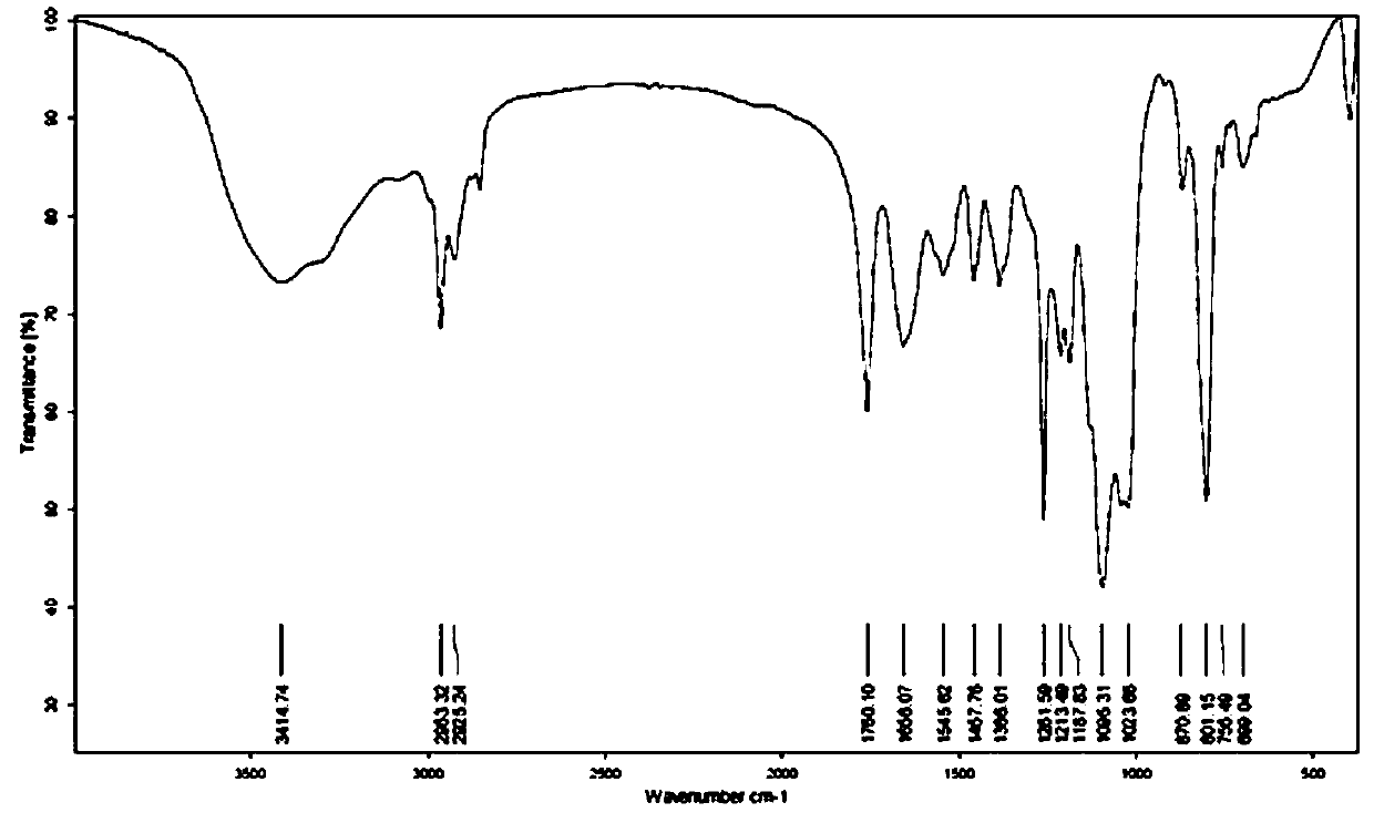 A construction method, engineering Escherichia coli and application of a shape-changing engineering Escherichia coli