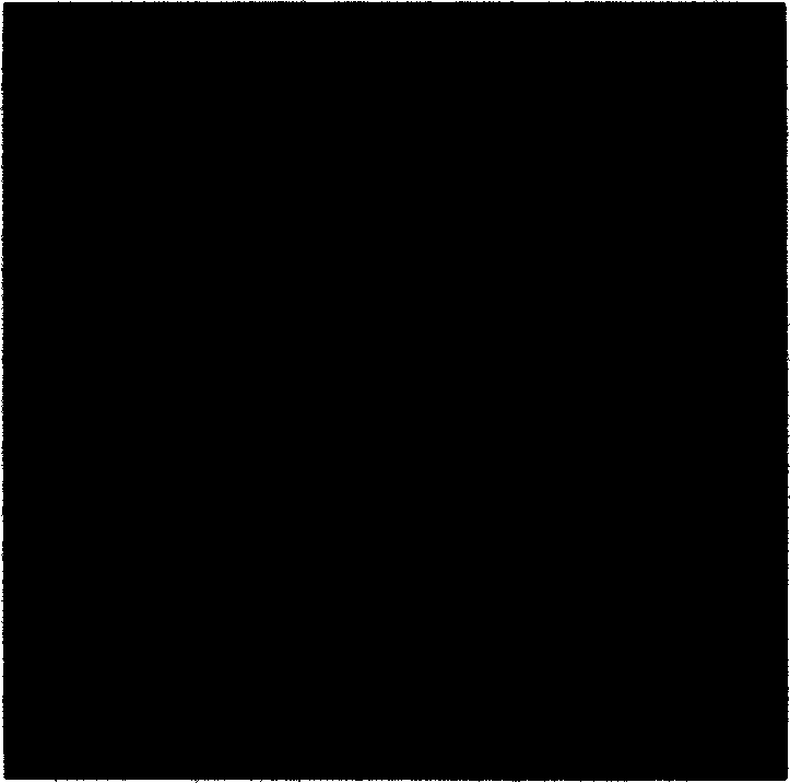 Synchronous self-adaptable watermark method based on image continuity