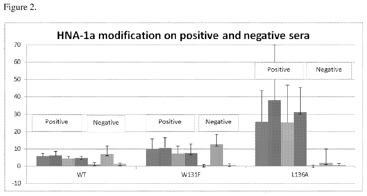 Modified Fc gamma receptor type III (FCγIII, HNA-1) polypeptides and the uses thereof