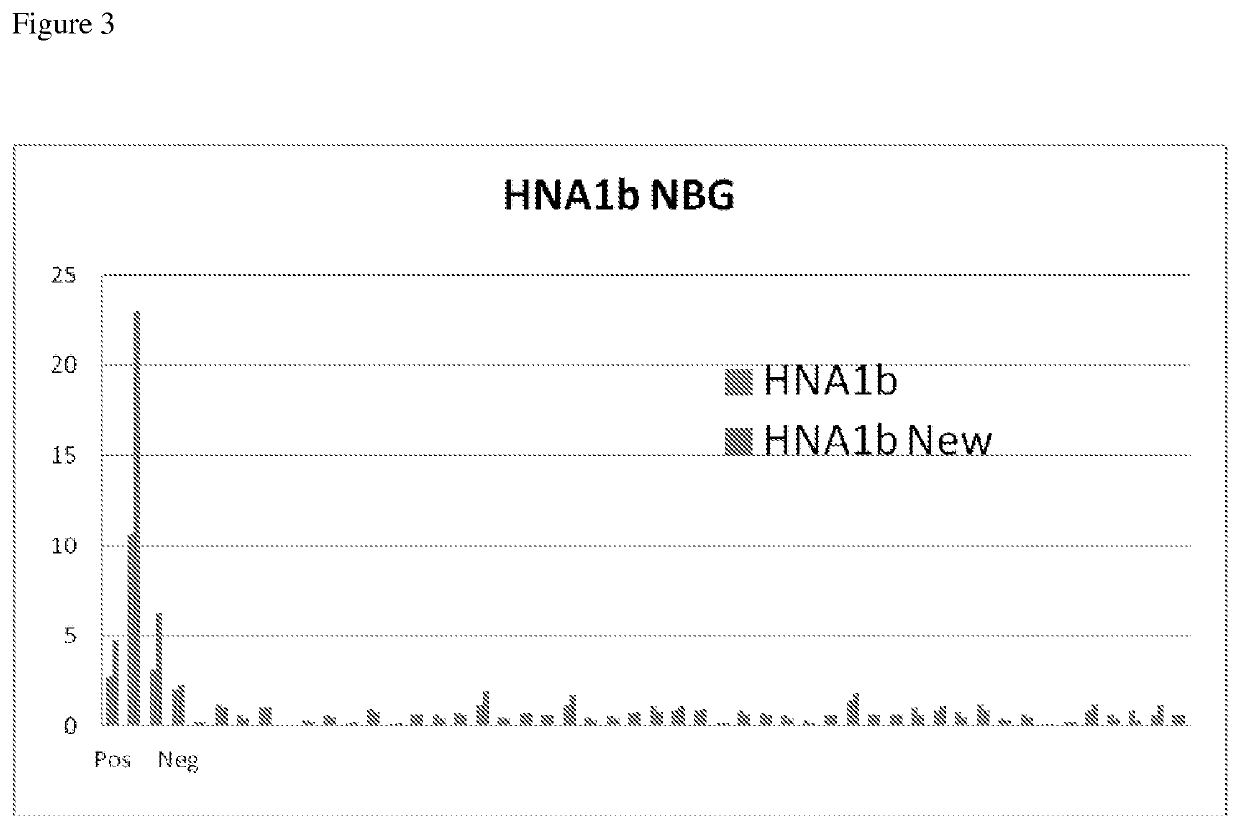 Modified Fc gamma receptor type III (FCγIII, HNA-1) polypeptides and the uses thereof