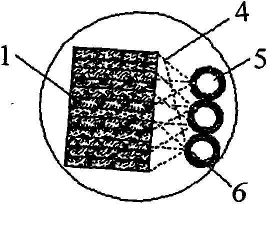 Method for manufacturing structural timber by sheet lamination of fast growing wood