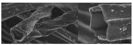 Method for preparing porous carbon micron tube from catkin, poplar seed or phoenix tree seed as raw material