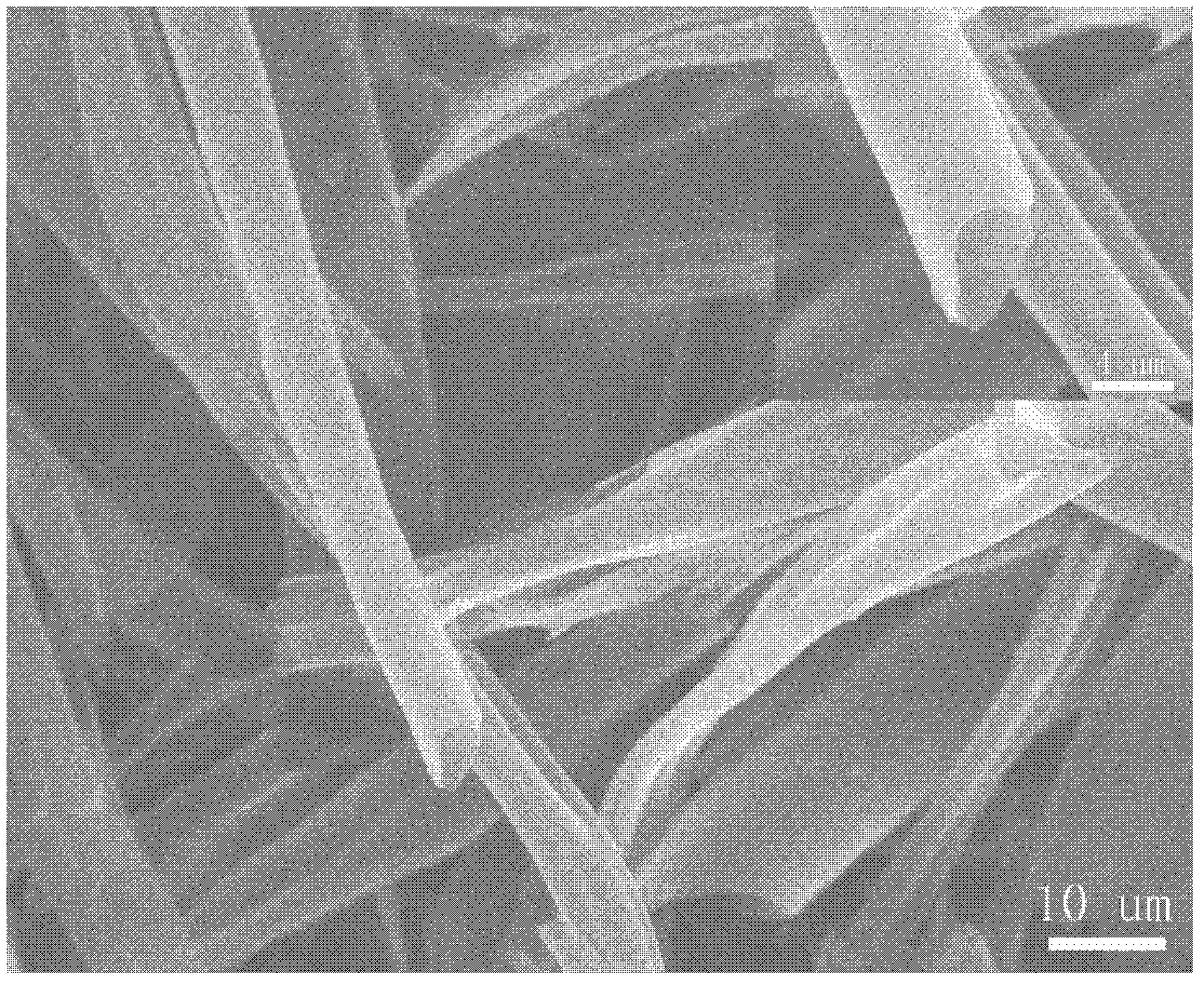 Method for preparing porous carbon micron tube from catkin, poplar seed or phoenix tree seed as raw material