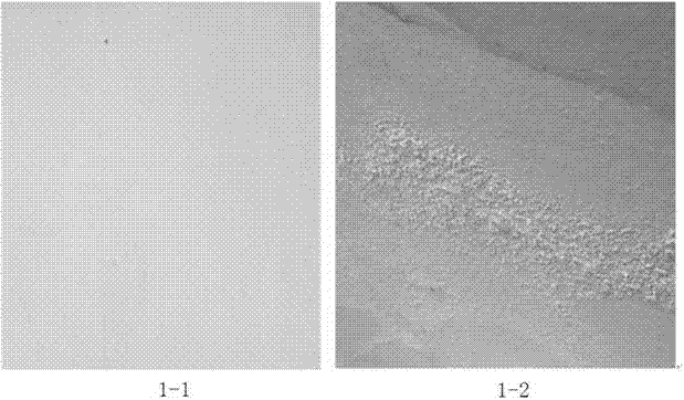 Aqueous organic-inorganic composite coating and preparation method thereof