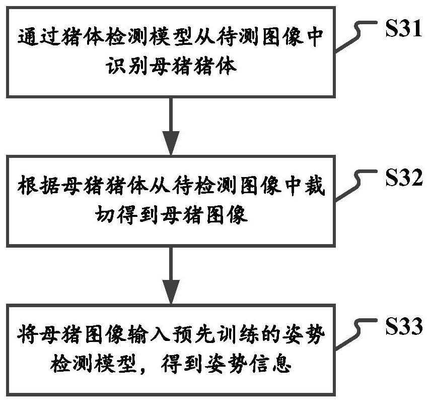 Sow estrus monitoring method, device, system, electronic equipment and storage medium