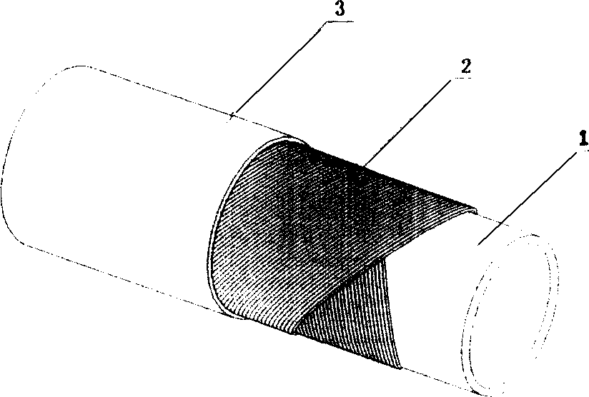 Reinforced thermoplastic plastic pipe and its production method