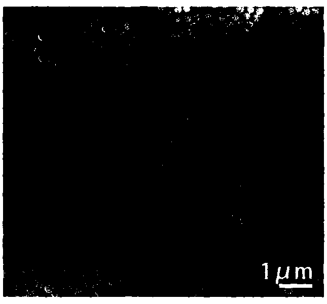 Preparation method of super-hydrophobic non-iridescence structural color film