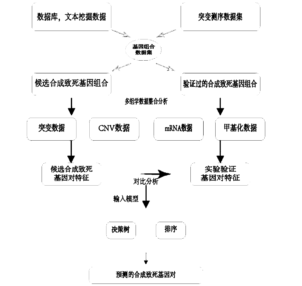 Method for predicting cancer synthesis lethal gene pairs based on decision tree and linear regression model