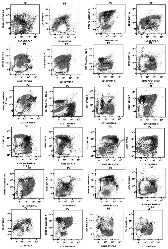 Antibody composition and its application in screening myeloid diseases and detecting immune checkpoints