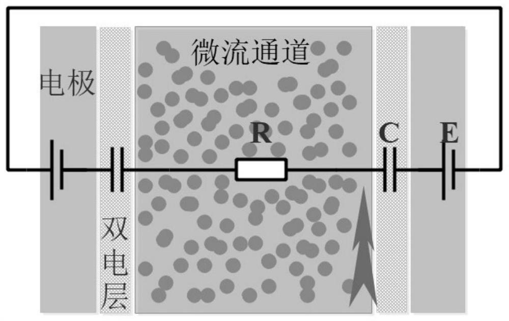 Method for improving electroporation cell transfection efficiency