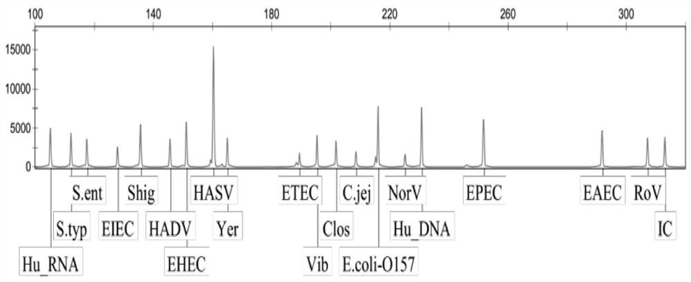 Diarrhea pathogenic bacteria multiple gene detection system and its kit and application