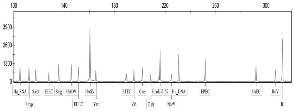 Diarrhea pathogenic bacteria multiple gene detection system and its kit and application