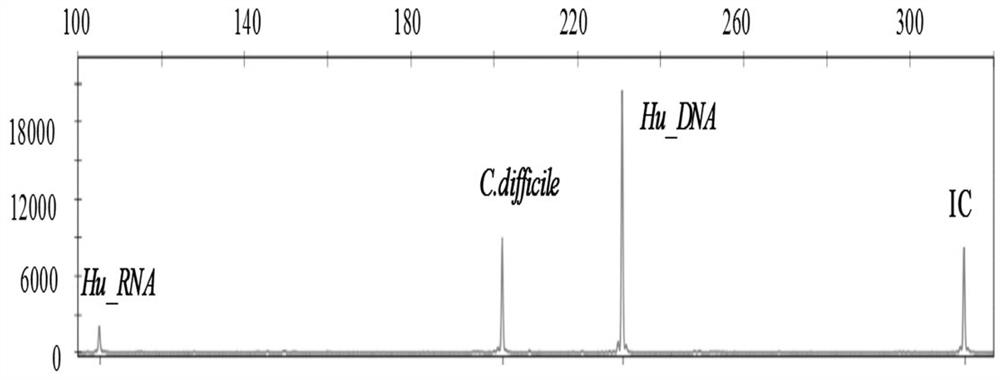 Diarrhea pathogenic bacteria multiple gene detection system and its kit and application