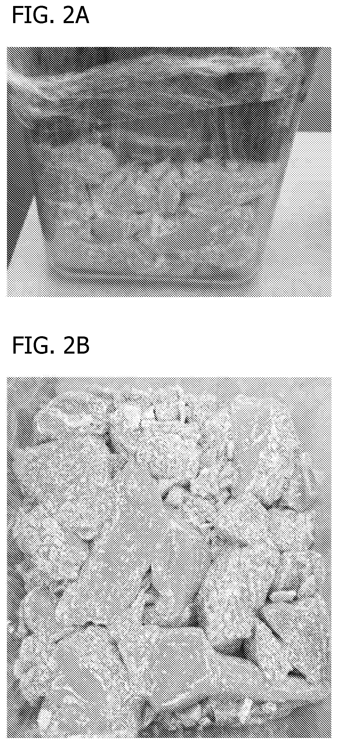 Polyol-containing chewing gum bases