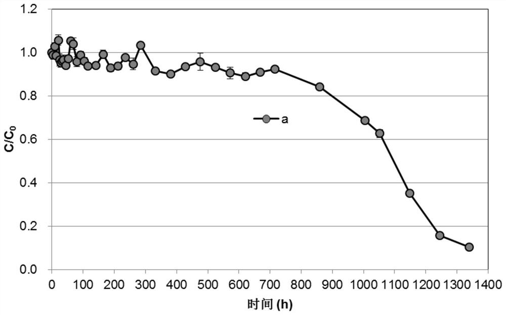 A method for promoting the dispersion and migration of nano ferric oxide