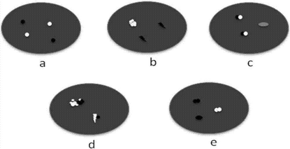 Kit and detection method for abnormity of ROS1 and C-met genes