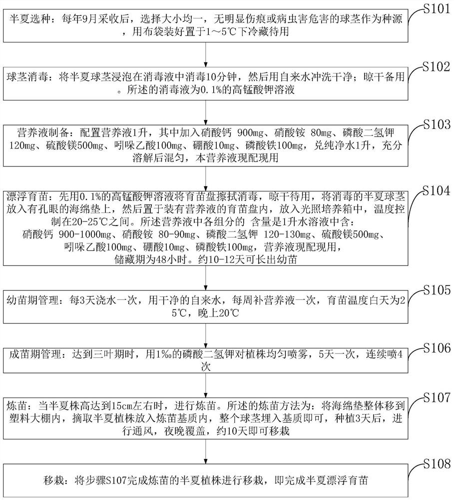 A Soilless Floating Seedling Cultivation Method for Pinellia Pinellia