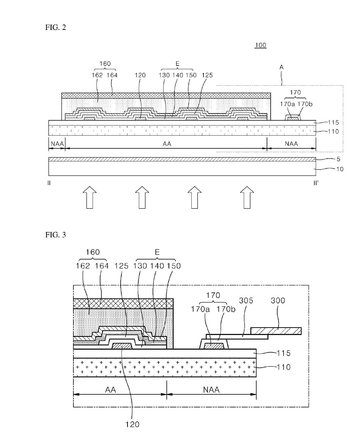 OLED lighting apparatus