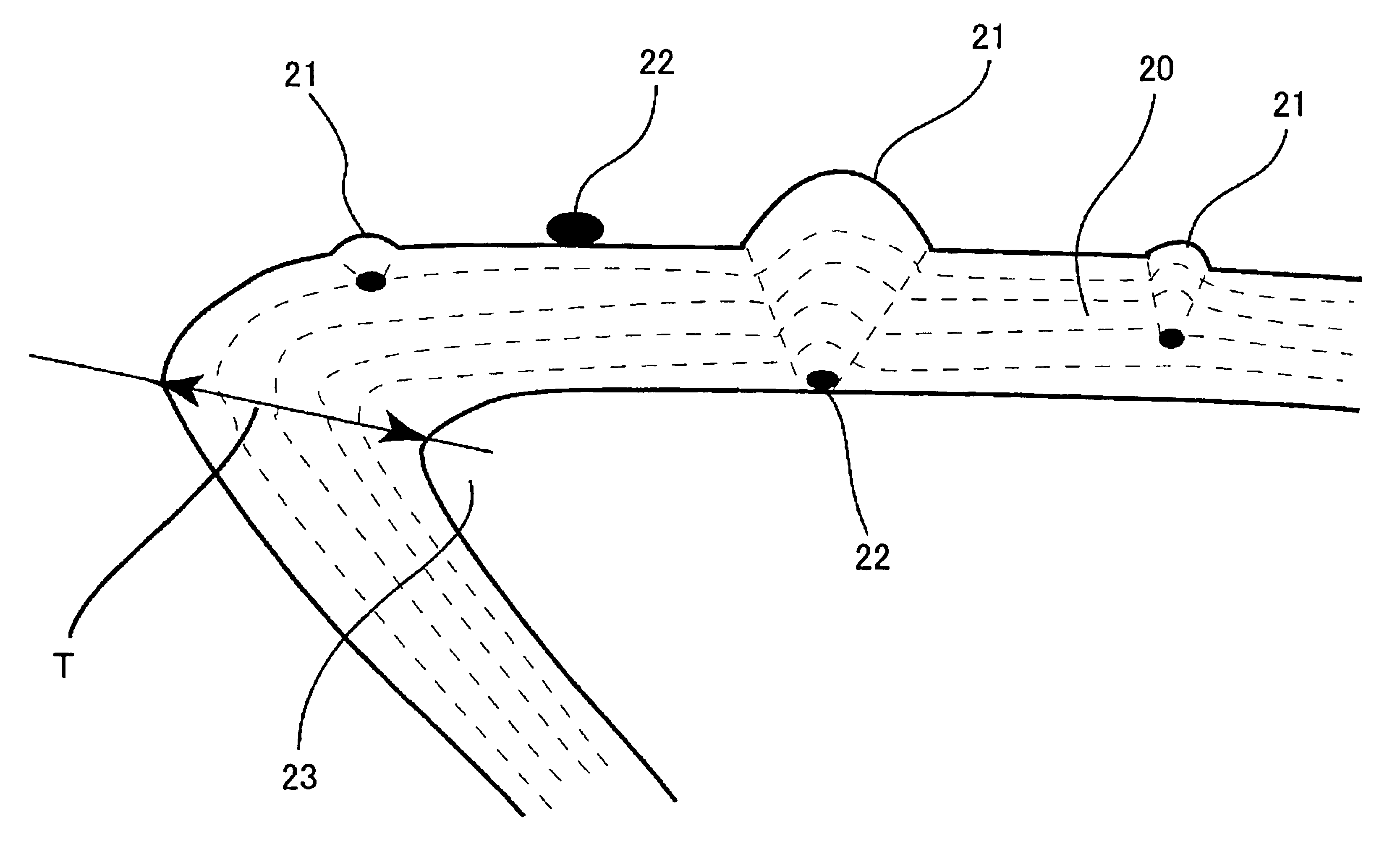 Amorphous carbon coated tool and fabrication method thereof