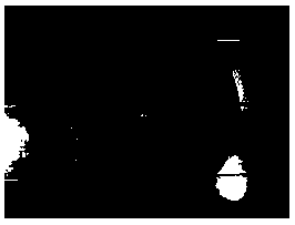 Carbon-silicon carbide double-ingredient substrate carbon fiber composite material as well as preparation method and application thereof