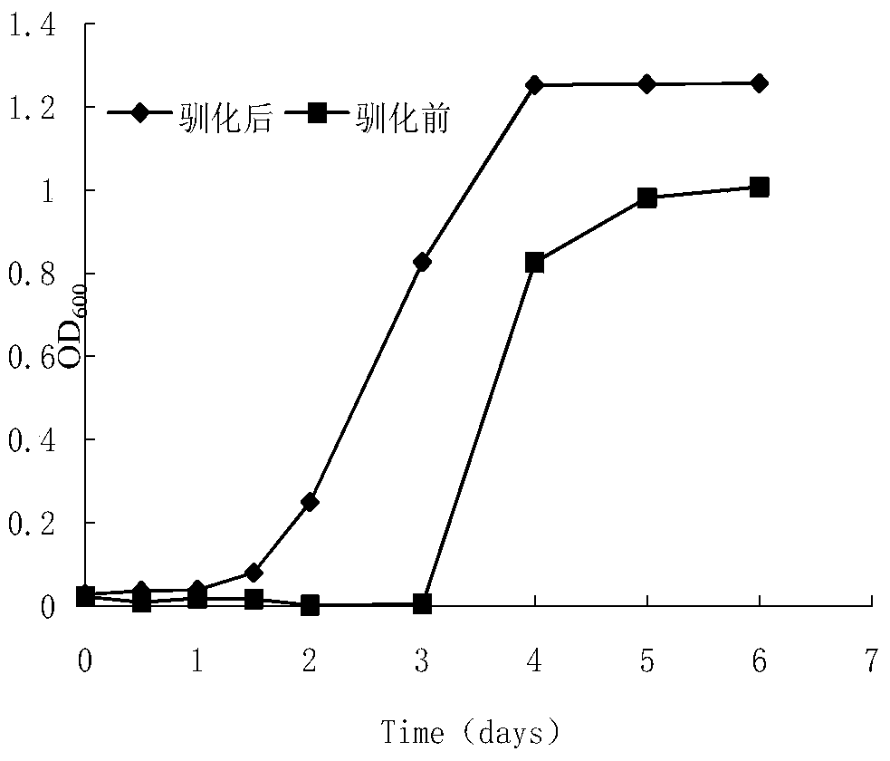 A kind of domestication and cultivation method of Thiobacillus thiophagenus applied to high-temperature aerobic composting