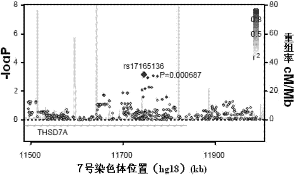 THSD7A gene sequence, expression change detection, and application of sequence in coronary heart disease prediction