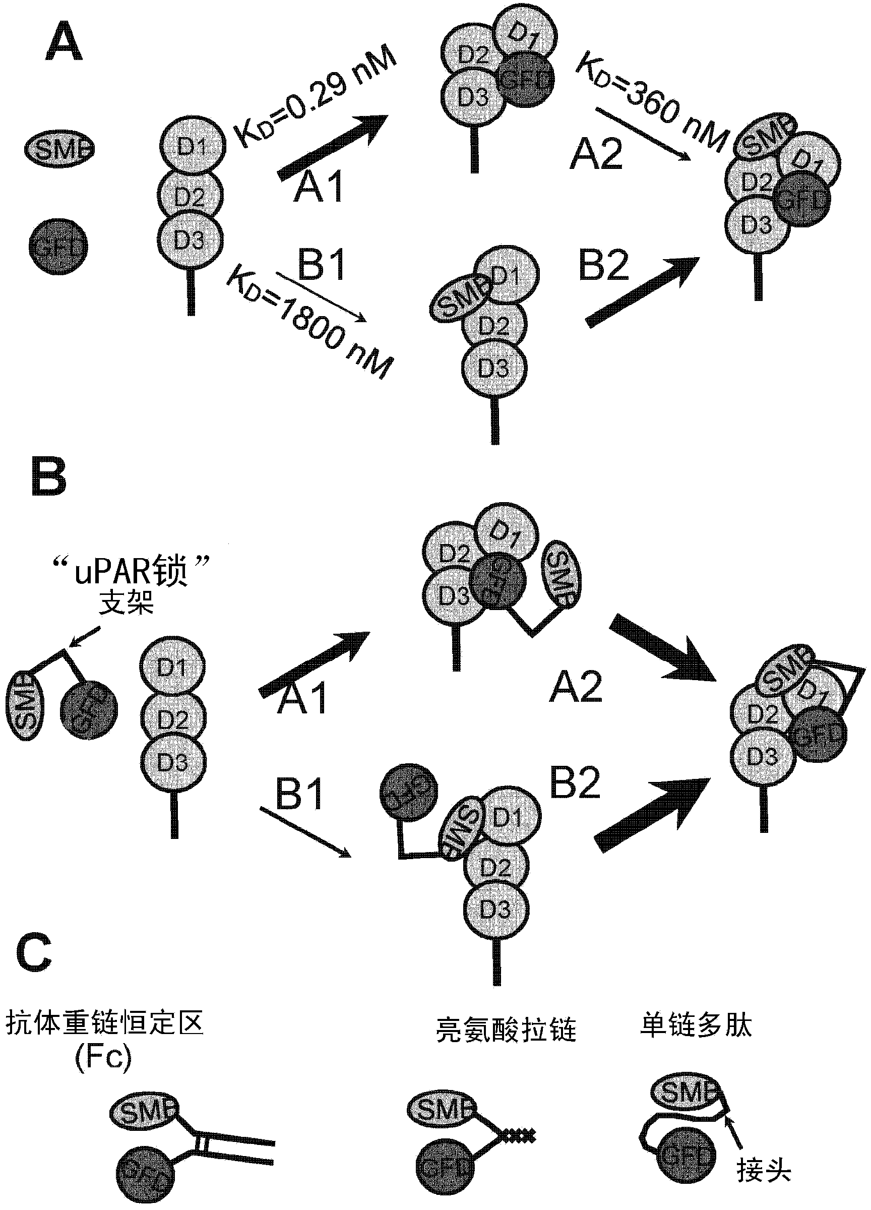 UPAR-antagonists and uses thereof