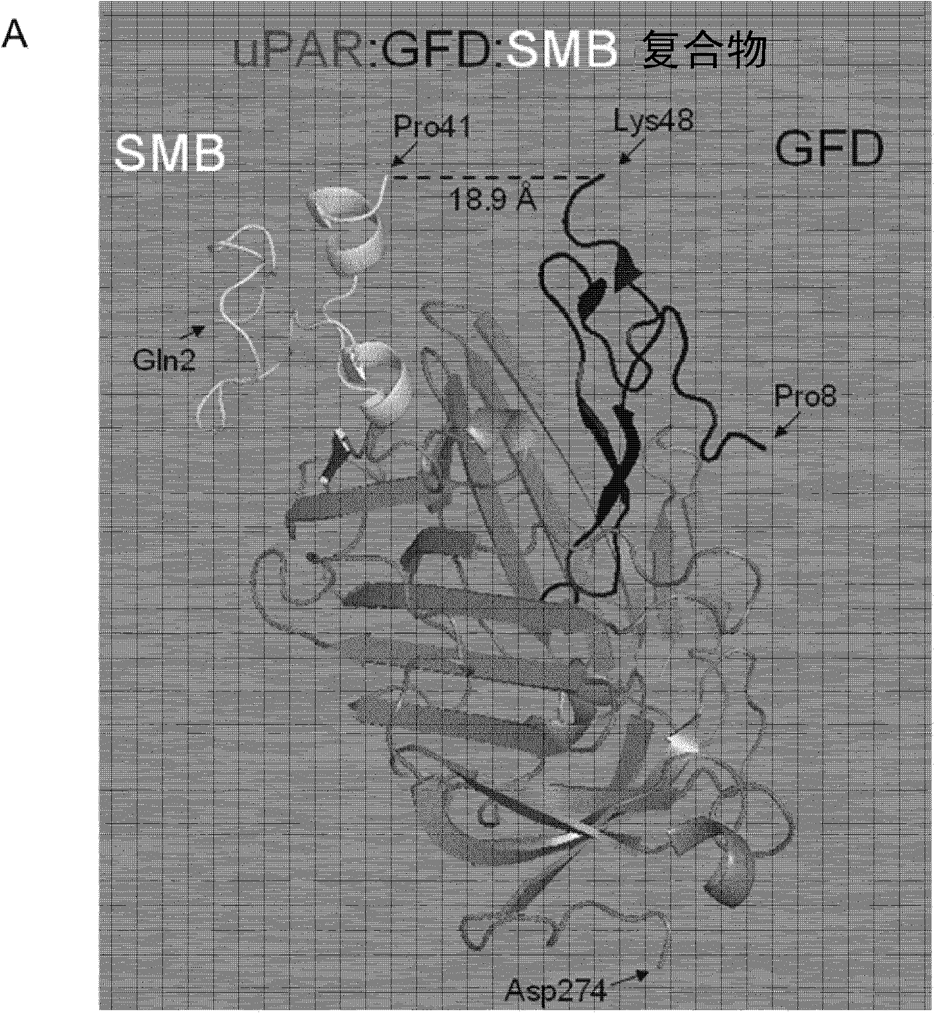 UPAR-antagonists and uses thereof