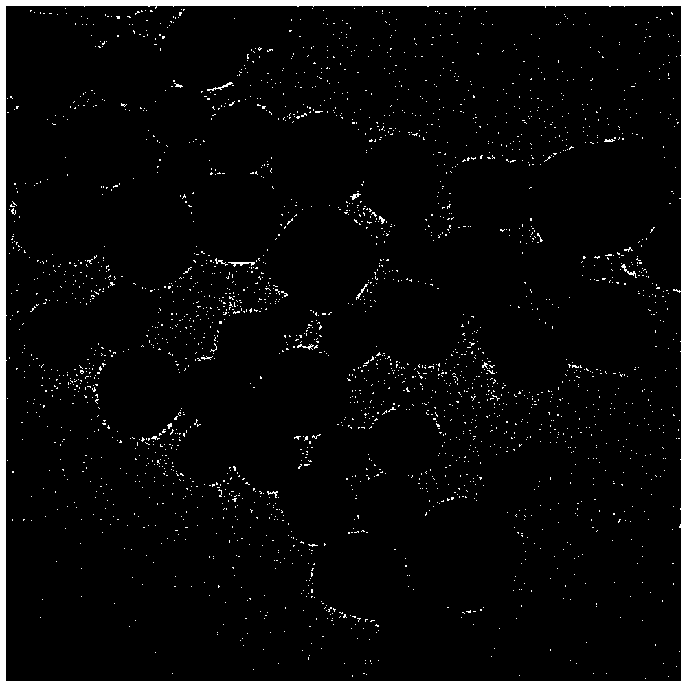 Method for detecting deltamethrin in strawberry based on gold nanoparticle surface Raman enhancement