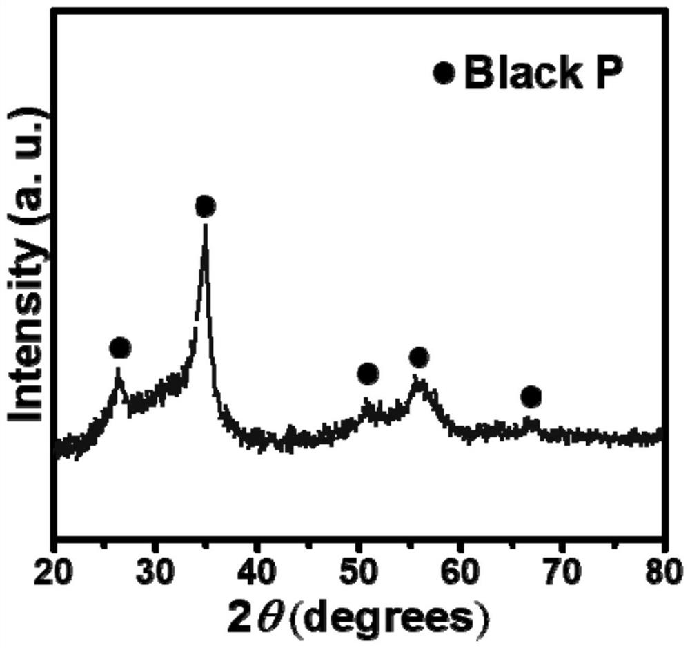 Synthetic method of porous black phosphorus nanosheet for negative electrode material of ion battery