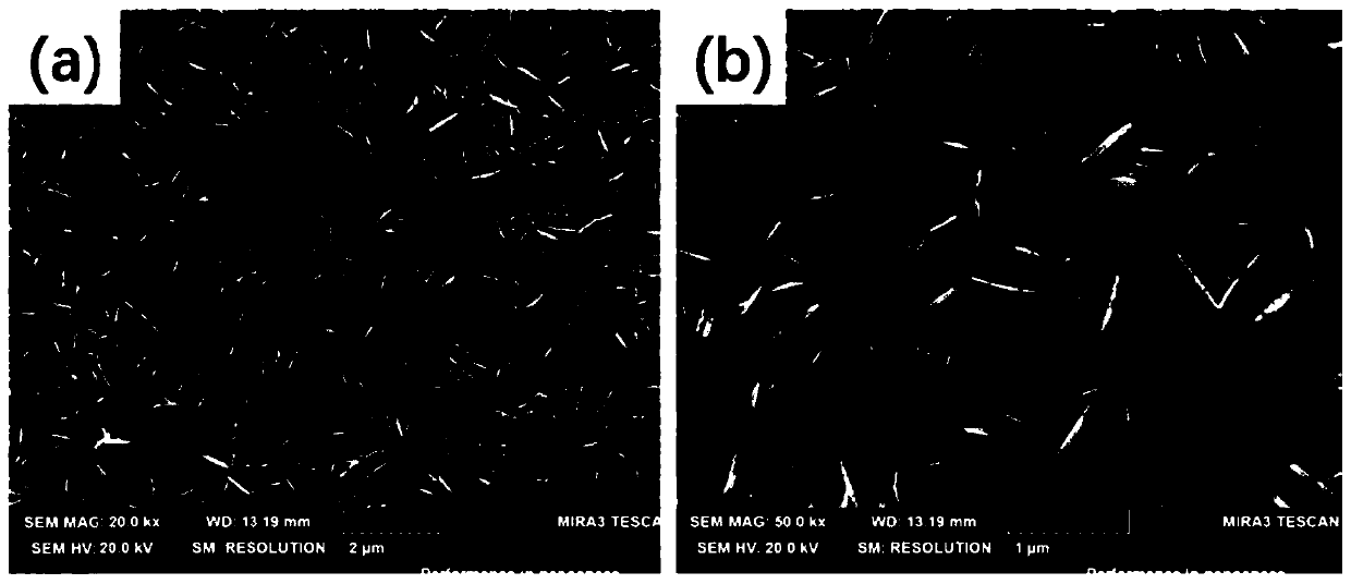 Photoelectrochemical detection method for concentration of chloride ions in water body