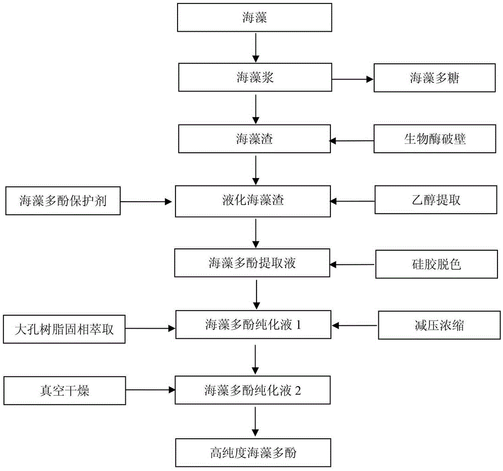 Preparation method of high-purity algal polyphenol